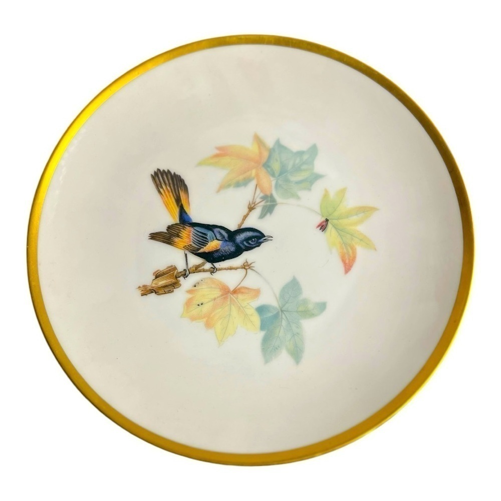 Audubon Bird by HUTSCHENREUTHER